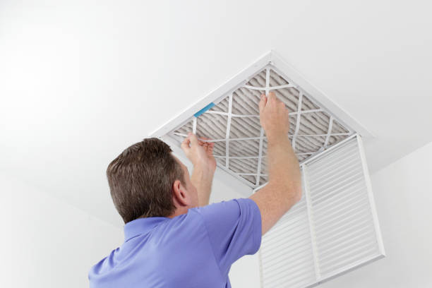 Best Mold and Mildew Removal from Ducts in Tonto Basin, AZ